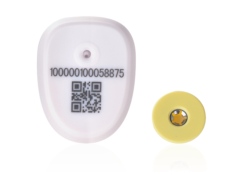 Teg Telinga RFID 2.4G